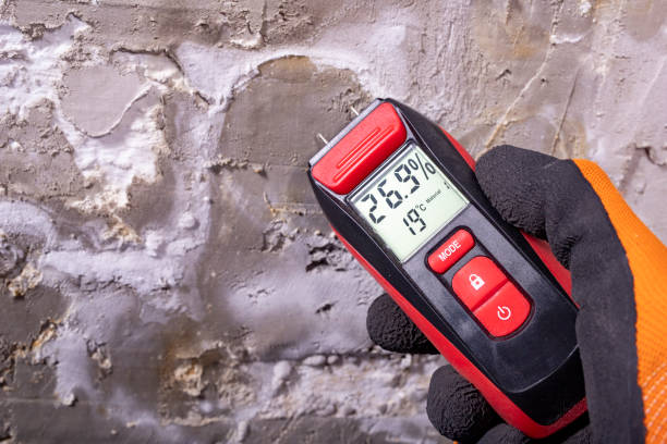 Best Mold Testing  in Rouse, CA