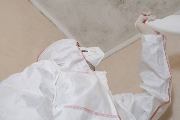 Best Crawl Space Mold Removal  in Rouse, CA