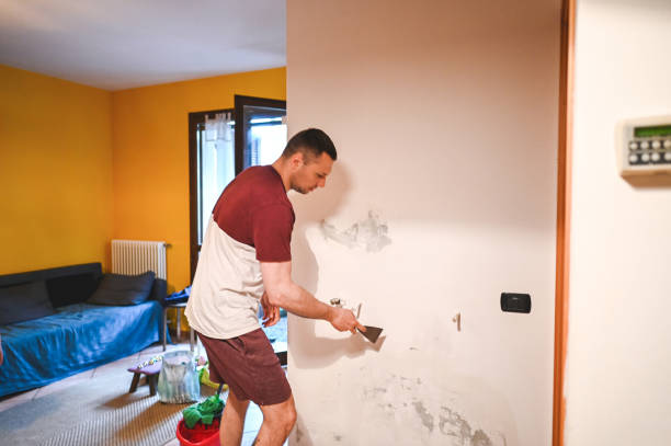 Certified Mold Removal in Rouse, CA