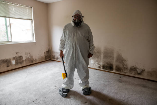 Best Affordable Mold Removal  in Rouse, CA
